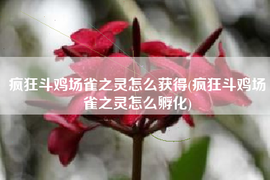 疯狂斗鸡场雀之灵怎么获得(疯狂斗鸡场雀之灵怎么孵化)