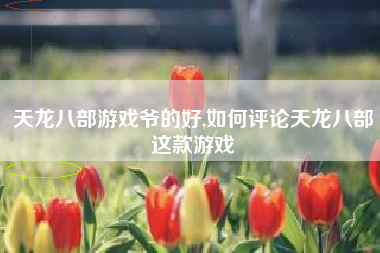 天龙八部游戏爷的好,如何评论天龙八部这款游戏