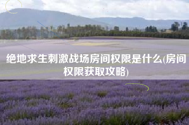 绝地求生刺激战场房间权限是什么(房间权限获取攻略)