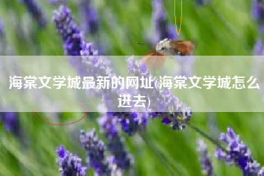 海棠文学城最新的网址(海棠文学城怎么进去)