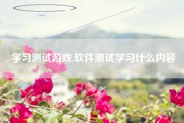 学习测试游戏,软件测试学习什么内容
