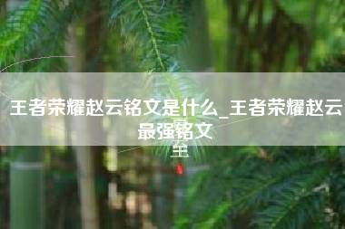 王者荣耀赵云铭文是什么_王者荣耀赵云最强铭文