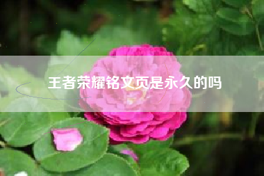 王者荣耀铭文页是永久的吗