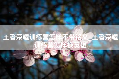 王者荣耀训练营怎样不带铭文_王者荣耀训练营怎样换英雄