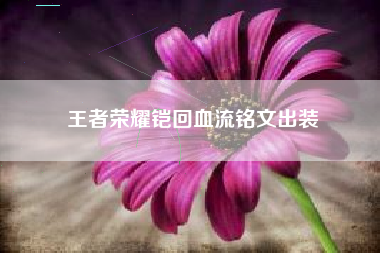 王者荣耀铠回血流铭文出装