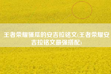 王者荣耀骚瓜的安吉拉铭文(王者荣耀安吉拉铭文最强搭配)