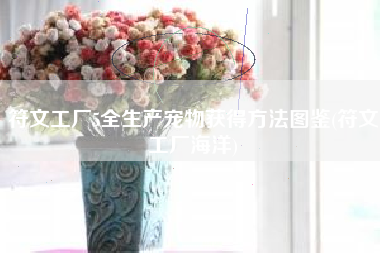 符文工厂5全生产宠物获得方法图鉴(符文工厂海洋)