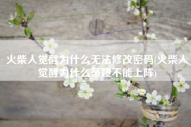 火柴人觉醒为什么无法修改密码(火柴人觉醒为什么蒂娅不能上阵)