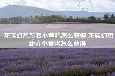 龙族幻想新春小黄鸭怎么获得(龙族幻想新春小黄鸭怎么获得)