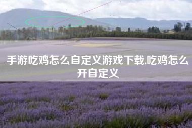 手游吃鸡怎么自定义游戏下载,吃鸡怎么开自定义