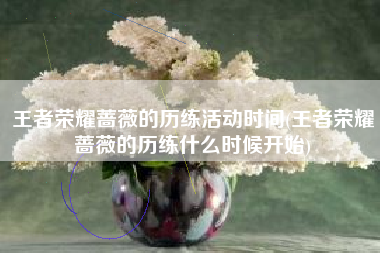 王者荣耀蔷薇的历练活动时间(王者荣耀蔷薇的历练什么时候开始)