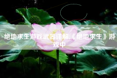 绝地求生游戏武器详解,《绝地求生》游戏中
