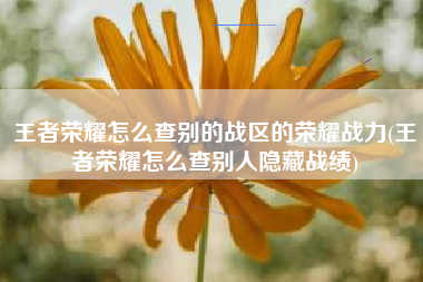 王者荣耀怎么查别的战区的荣耀战力(王者荣耀怎么查别人隐藏战绩)