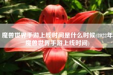魔兽世界手游上线时间是什么时候(2022年魔兽世界手游上线时间)