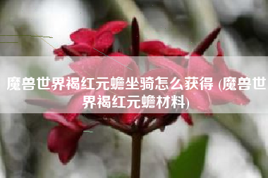 魔兽世界褐红元蟾坐骑怎么获得 (魔兽世界褐红元蟾材料)