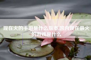 现在火的手游是什么版本,国内现在最火的游戏是什么