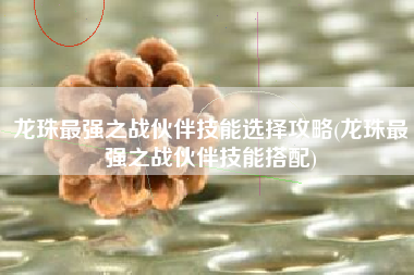 龙珠最强之战伙伴技能选择攻略(龙珠最强之战伙伴技能搭配)
