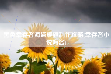 黑色幸存者海盗舰旗制作攻略(幸存者小说海盗)