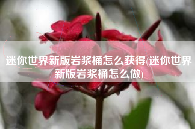 迷你世界新版岩浆桶怎么获得(迷你世界新版岩浆桶怎么做)