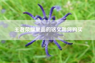 王者荣耀里面的铭文如何购买