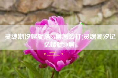 灵魂潮汐螺旋塔55层怎么打(灵魂潮汐记忆螺旋39层)