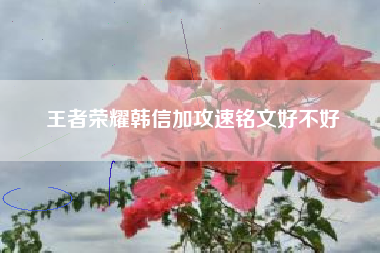 王者荣耀韩信加攻速铭文好不好