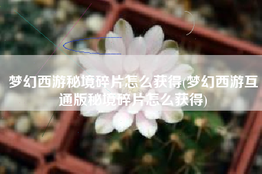 梦幻西游秘境碎片怎么获得(梦幻西游互通版秘境碎片怎么获得)