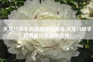 天龙八部手游逍遥排山倒海(天龙八部手游逍遥经脉英雄选择)