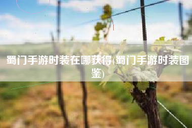 蜀门手游时装在哪获得(蜀门手游时装图鉴)