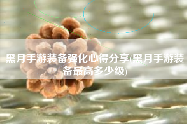 黑月手游装备强化心得分享(黑月手游装备最高多少级)