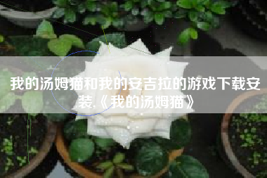 我的汤姆猫和我的安吉拉的游戏下载安装,《我的汤姆猫》
