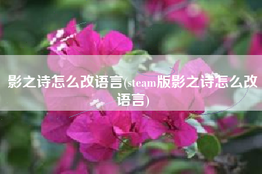 影之诗怎么改语言(steam版影之诗怎么改语言)