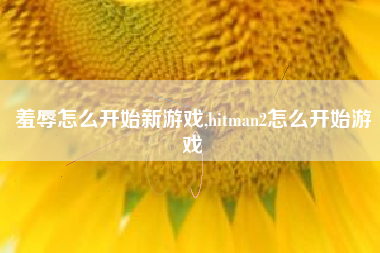 羞辱怎么开始新游戏,hitman2怎么开始游戏
