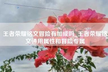 王者荣耀铭文冒险有加成吗_王者荣耀铭文通用属性和冒险专属