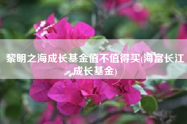 黎明之海成长基金值不值得买(海富长江成长基金)