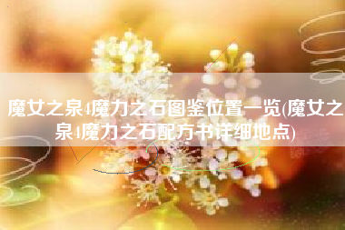 魔女之泉4魔力之石图鉴位置一览(魔女之泉4魔力之石配方书详细地点)