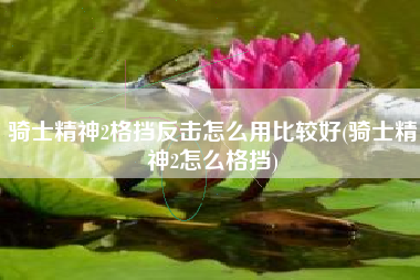 骑士精神2格挡反击怎么用比较好(骑士精神2怎么格挡)