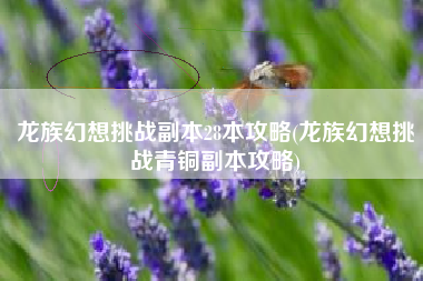 龙族幻想挑战副本28本攻略(龙族幻想挑战青铜副本攻略)
