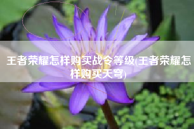 王者荣耀怎样购买战令等级(王者荣耀怎样购买天穹)