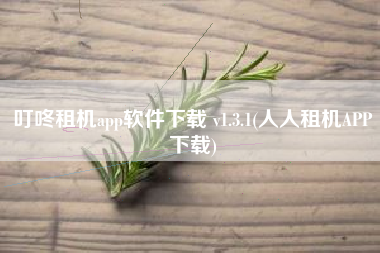 叮咚租机app软件下载 v1.3.1(人人租机APP下载)