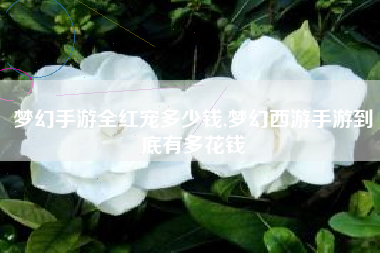 梦幻手游全红宠多少钱,梦幻西游手游到底有多花钱