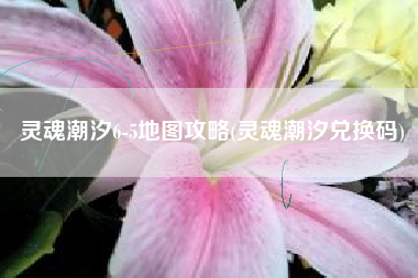 灵魂潮汐6-5地图攻略(灵魂潮汐兑换码)