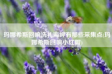 玛娜希斯回响洗礼海岬有那些采集点(玛娜希斯回响小红帽)