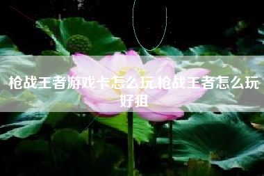 枪战王者游戏卡怎么玩,枪战王者怎么玩好狙