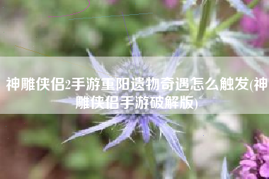 神雕侠侣2手游重阳遗物奇遇怎么触发(神雕侠侣手游破解版)