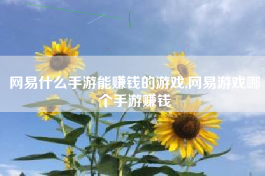 网易什么手游能赚钱的游戏,网易游戏哪个手游赚钱