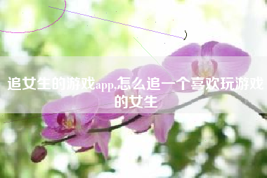 追女生的游戏app,怎么追一个喜欢玩游戏的女生