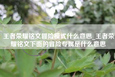 王者荣耀铭文冒险模式什么意思_王者荣耀铭文下面的冒险专属是什么意思