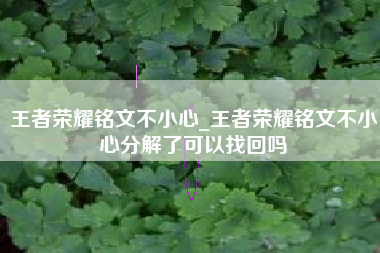 王者荣耀铭文不小心_王者荣耀铭文不小心分解了可以找回吗