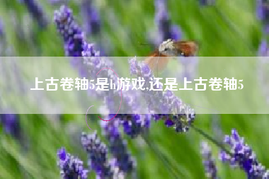 上古卷轴5是h游戏,还是上古卷轴5